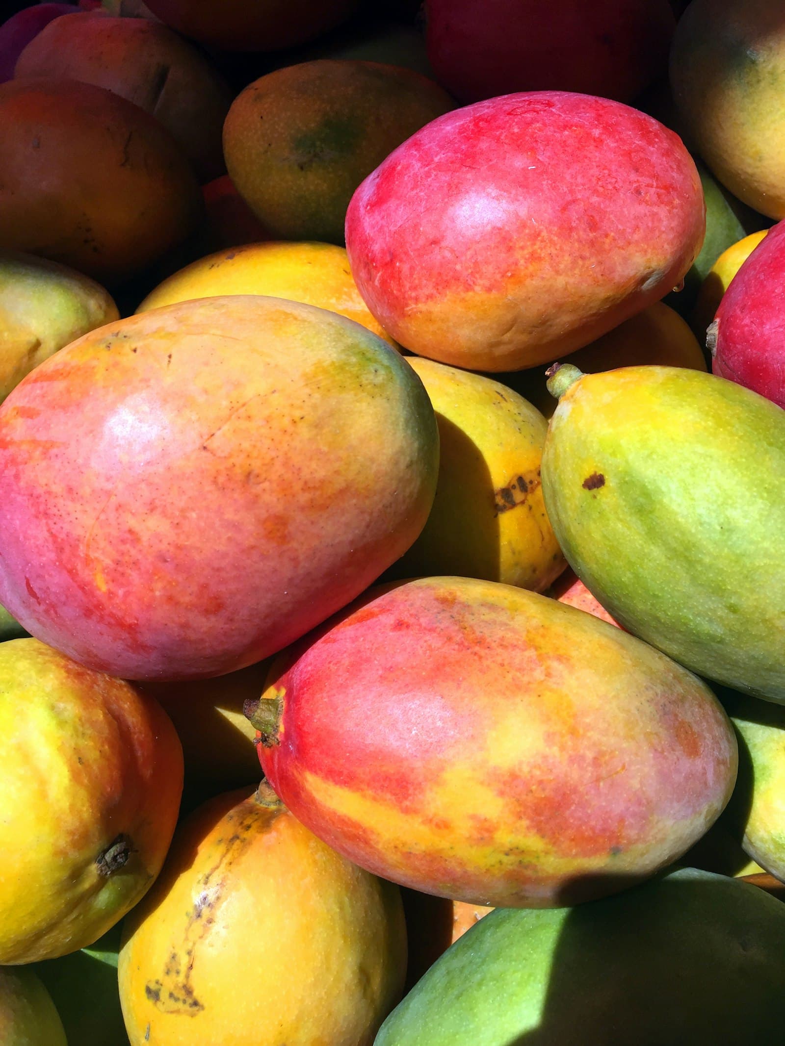 Apple Mangoes, Kenya