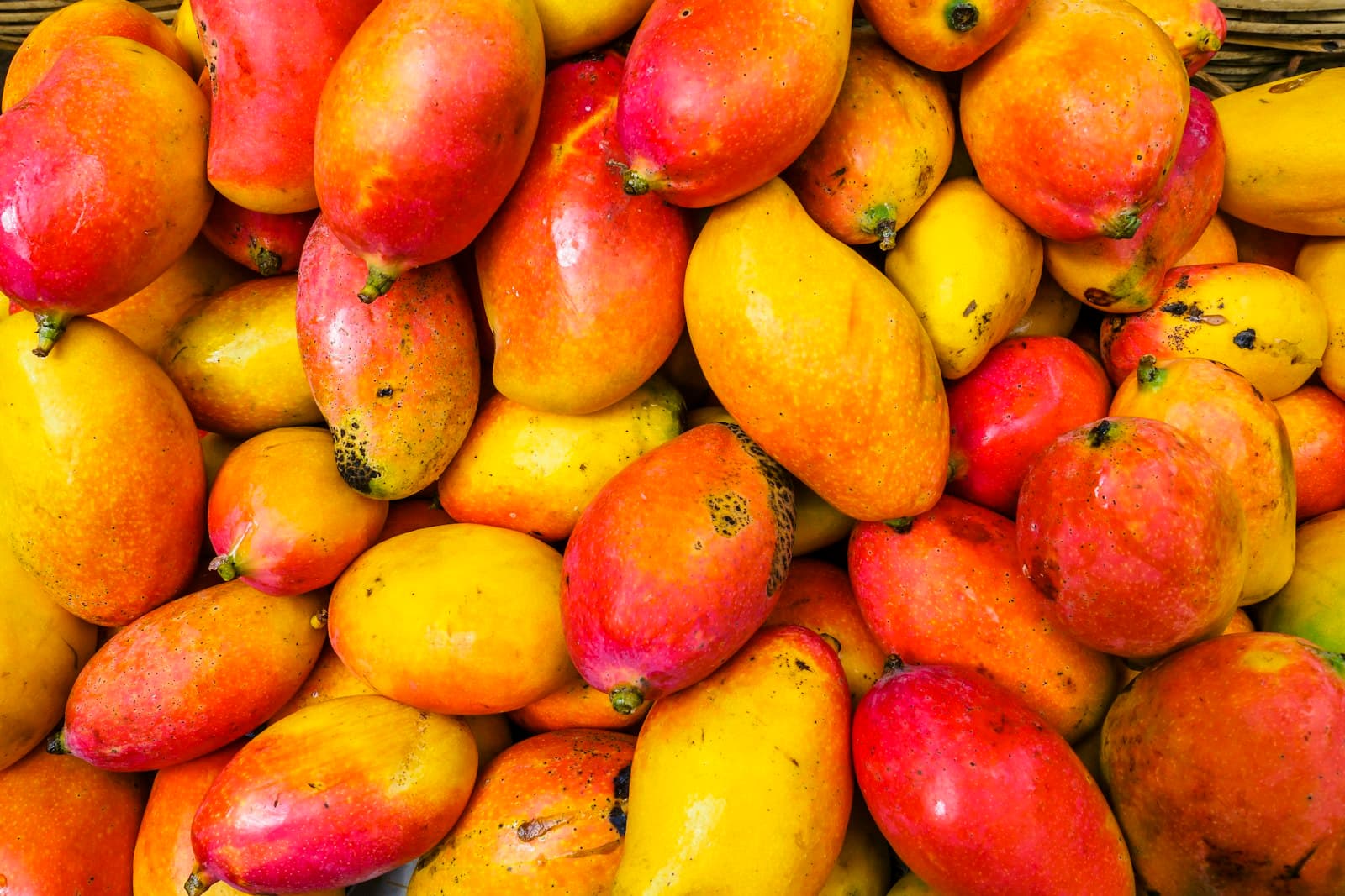 Kenyan mangoes — ripe yellow and red fruit