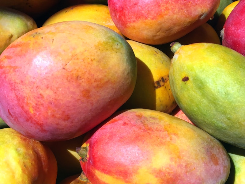 Kent Mangoes